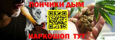 крисы Апшеронск