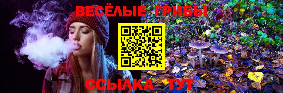 Псилоцибиновые грибы GOLDEN TEACHER Балабаново
