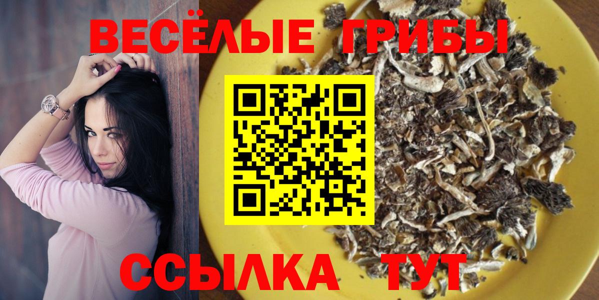 Галлюциногенные грибы мухоморы  Вход с VPN  Псилоцибиновые грибы ЛСД  Балабаново 